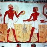 Сбор урожая злаков